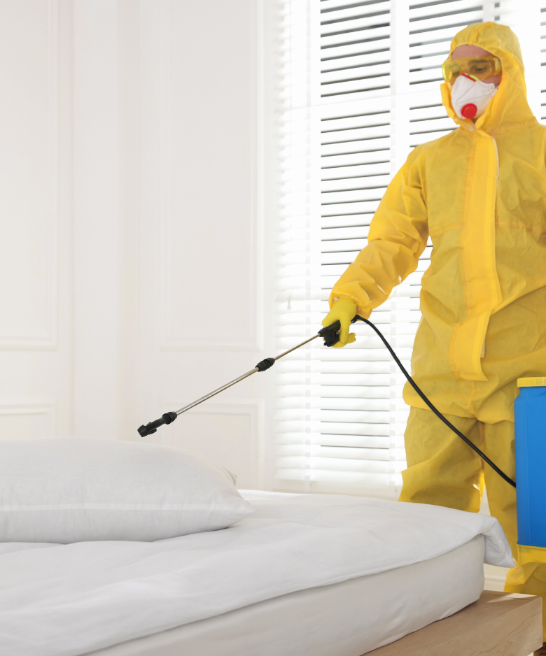 Professional Pest Control Team in Auldana
